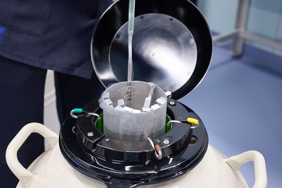 Intracytoplasmic Sperm Injection ICSI Procedure Under Microscope
